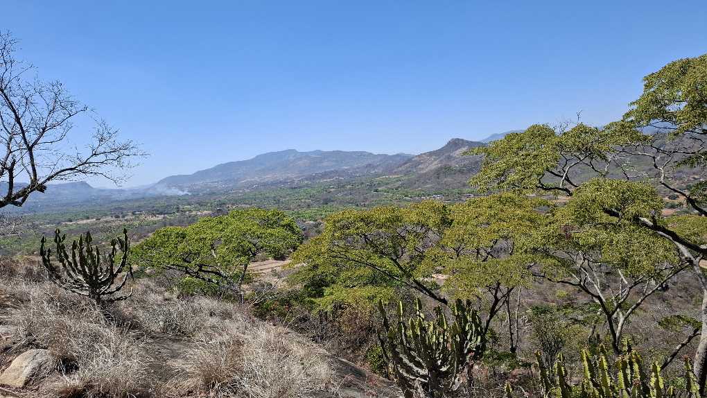 Image of 20251006_124940.jpg