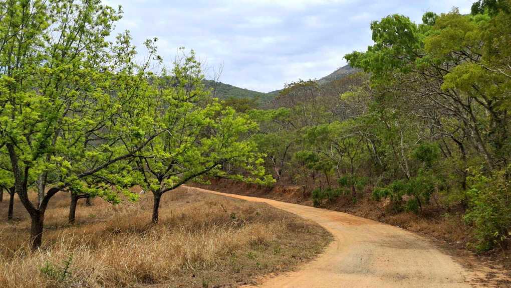 Image of 20251024_113741.jpg