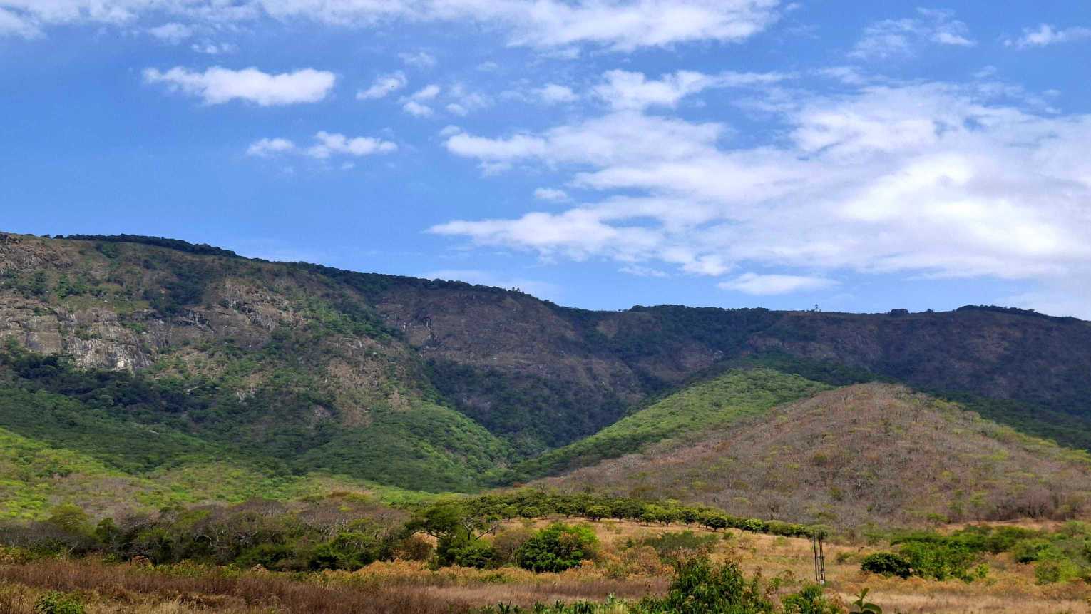 Image of 20251024_130911.jpg