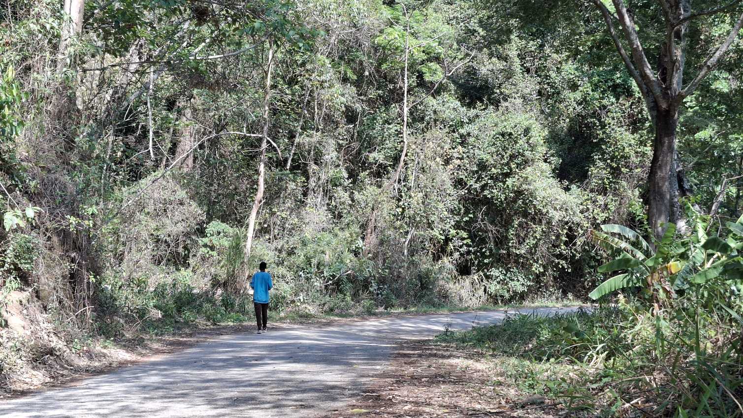 Image of 20251024_141423.jpg