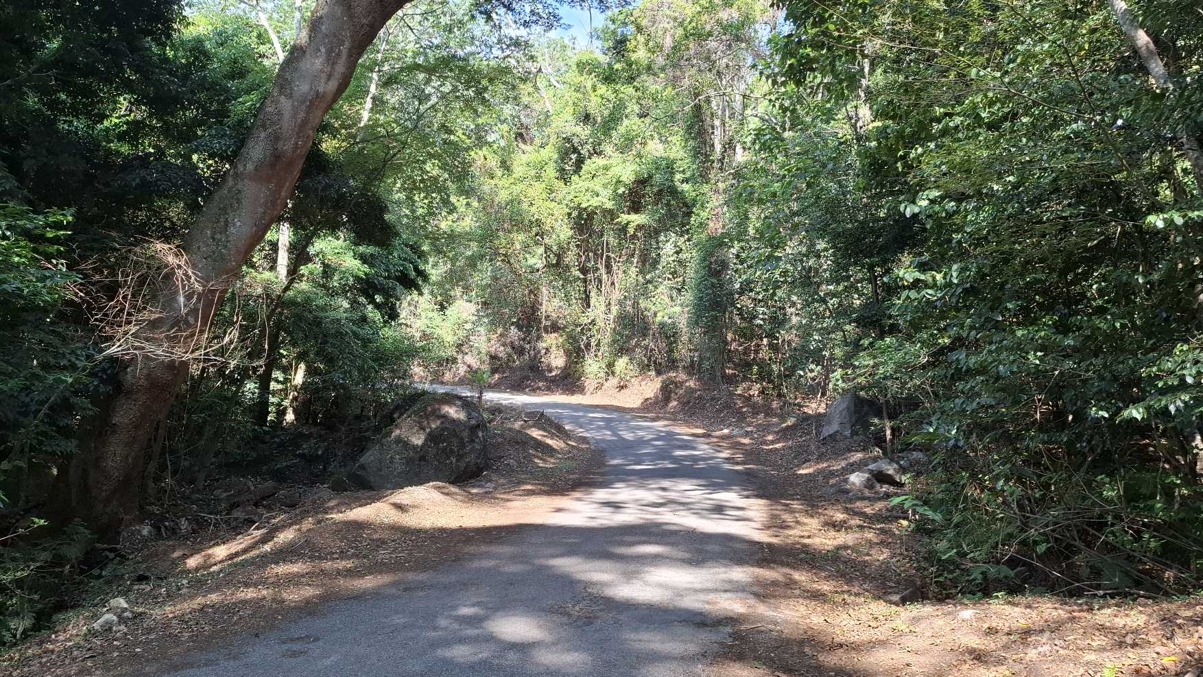 Image of 20251024_142031.jpg