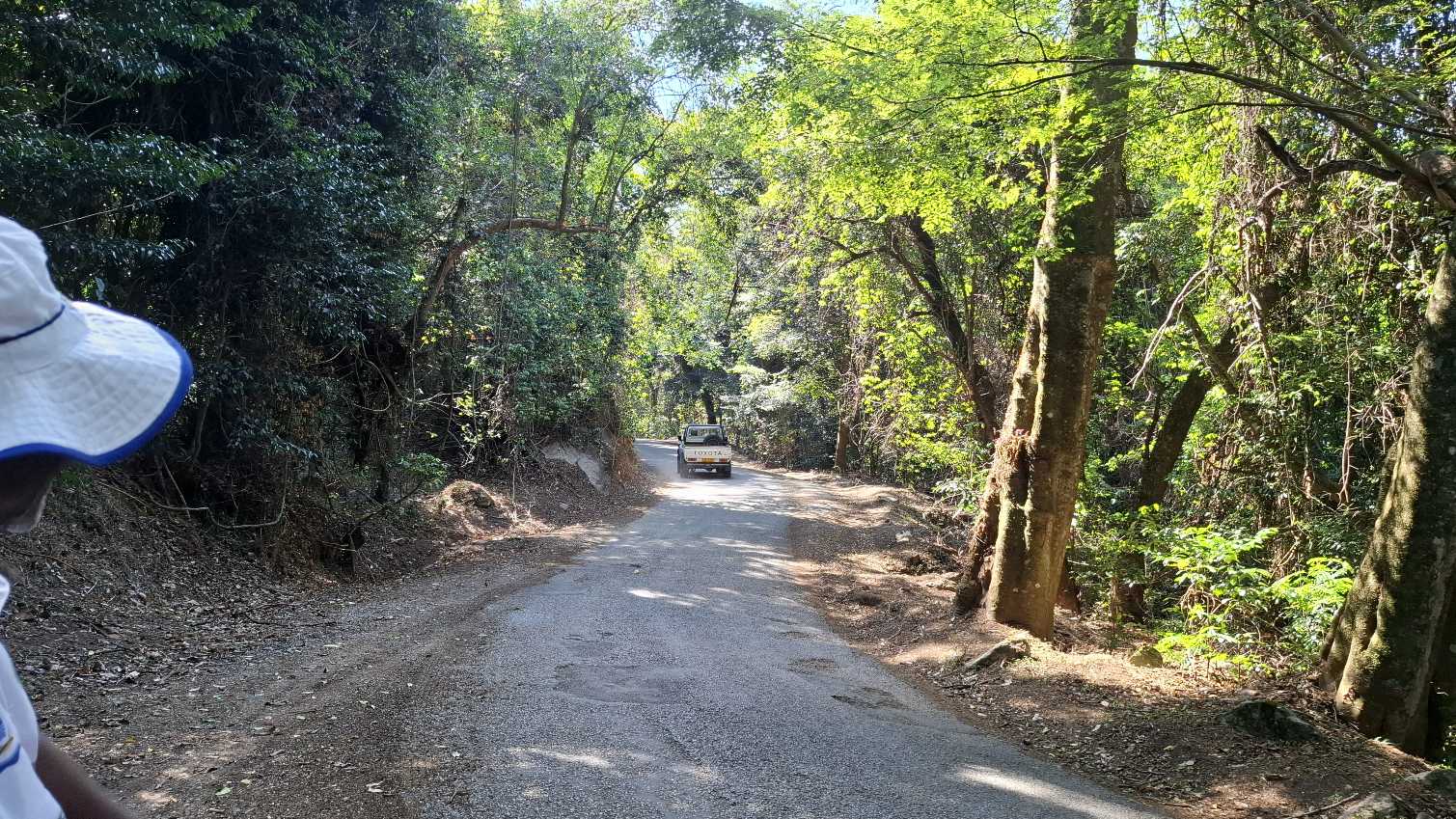 Image of 20251024_142043.jpg