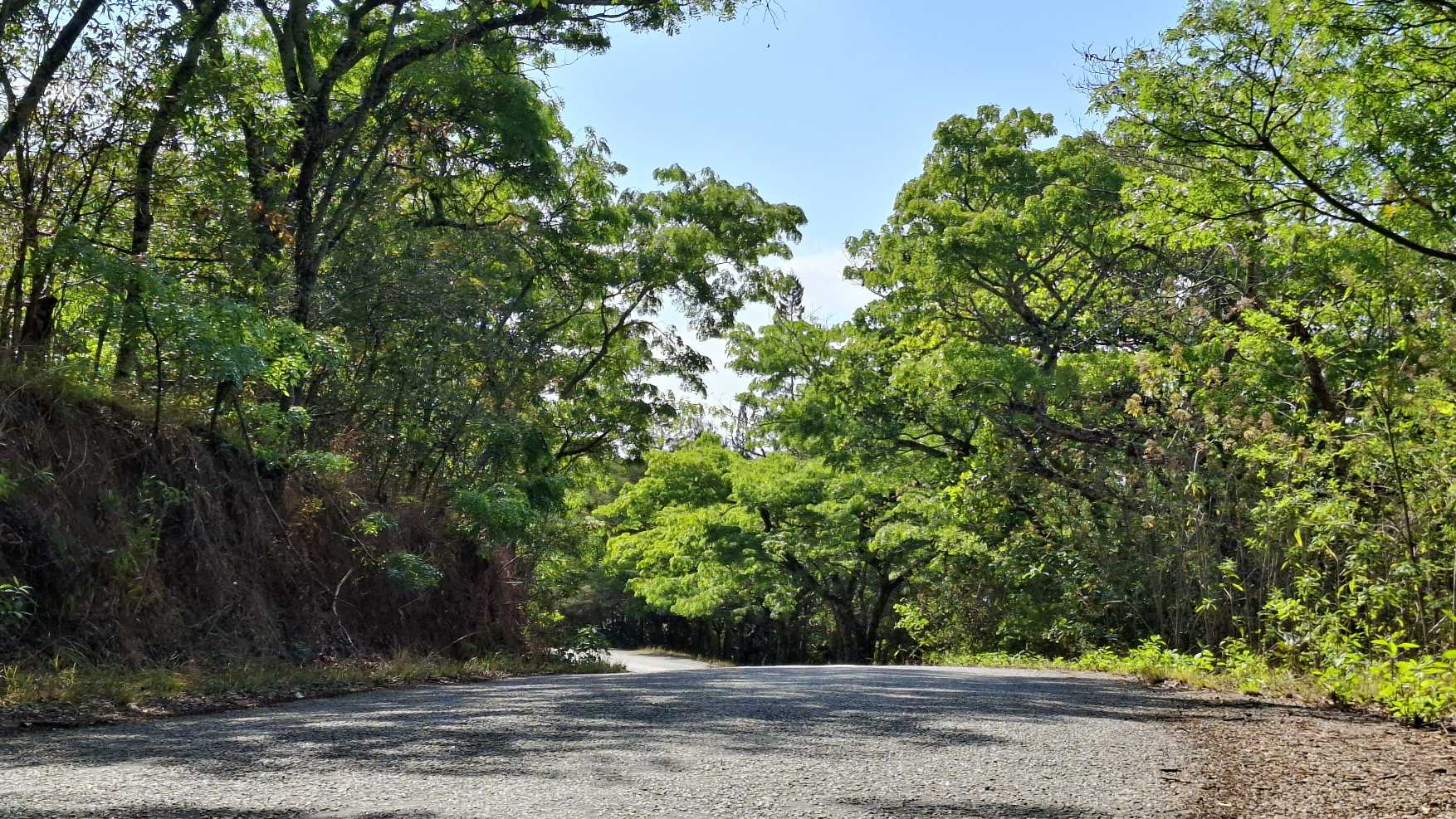 Image of 20251024_142534.jpg