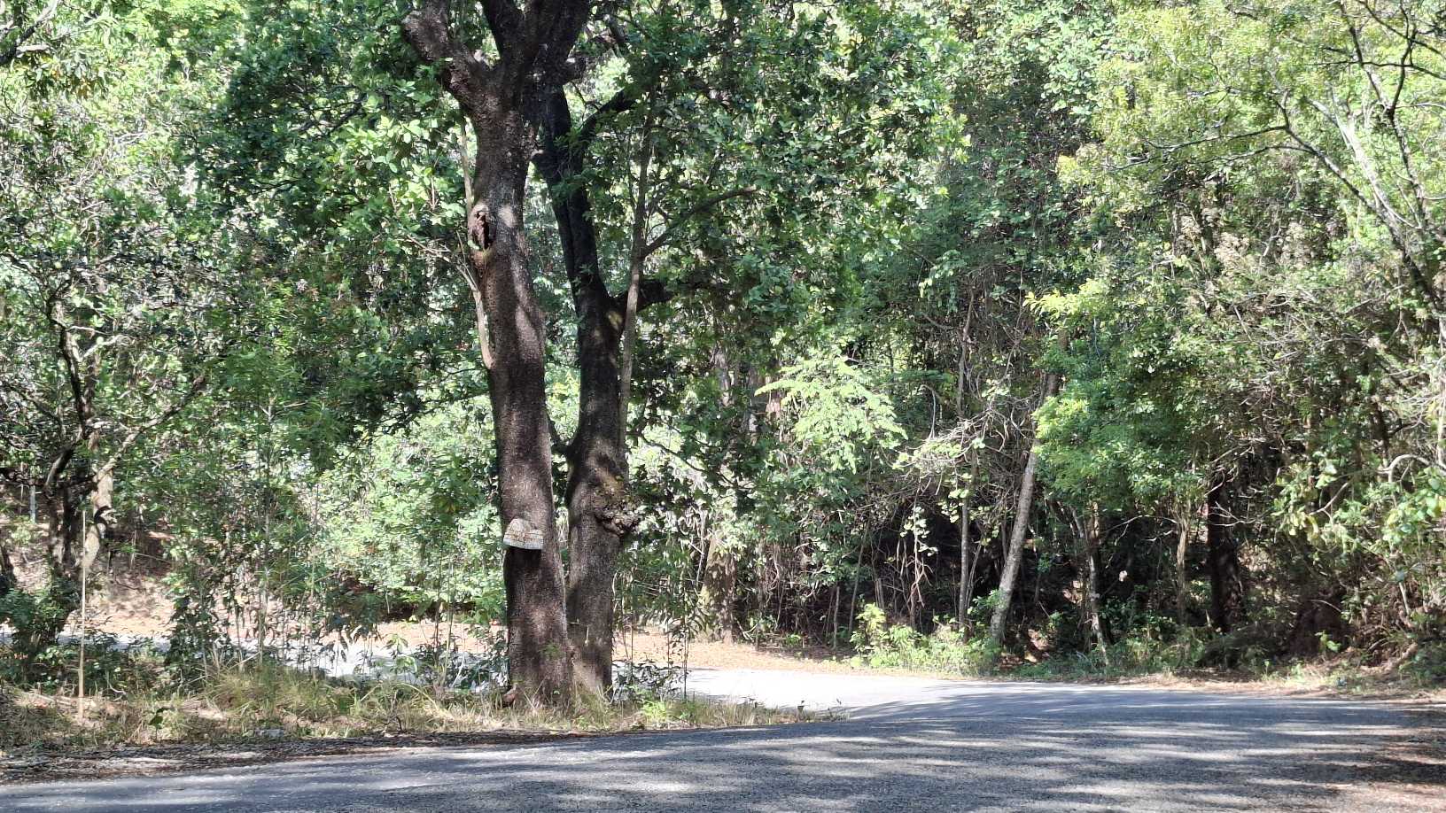 Image of 20251024_142555.jpg