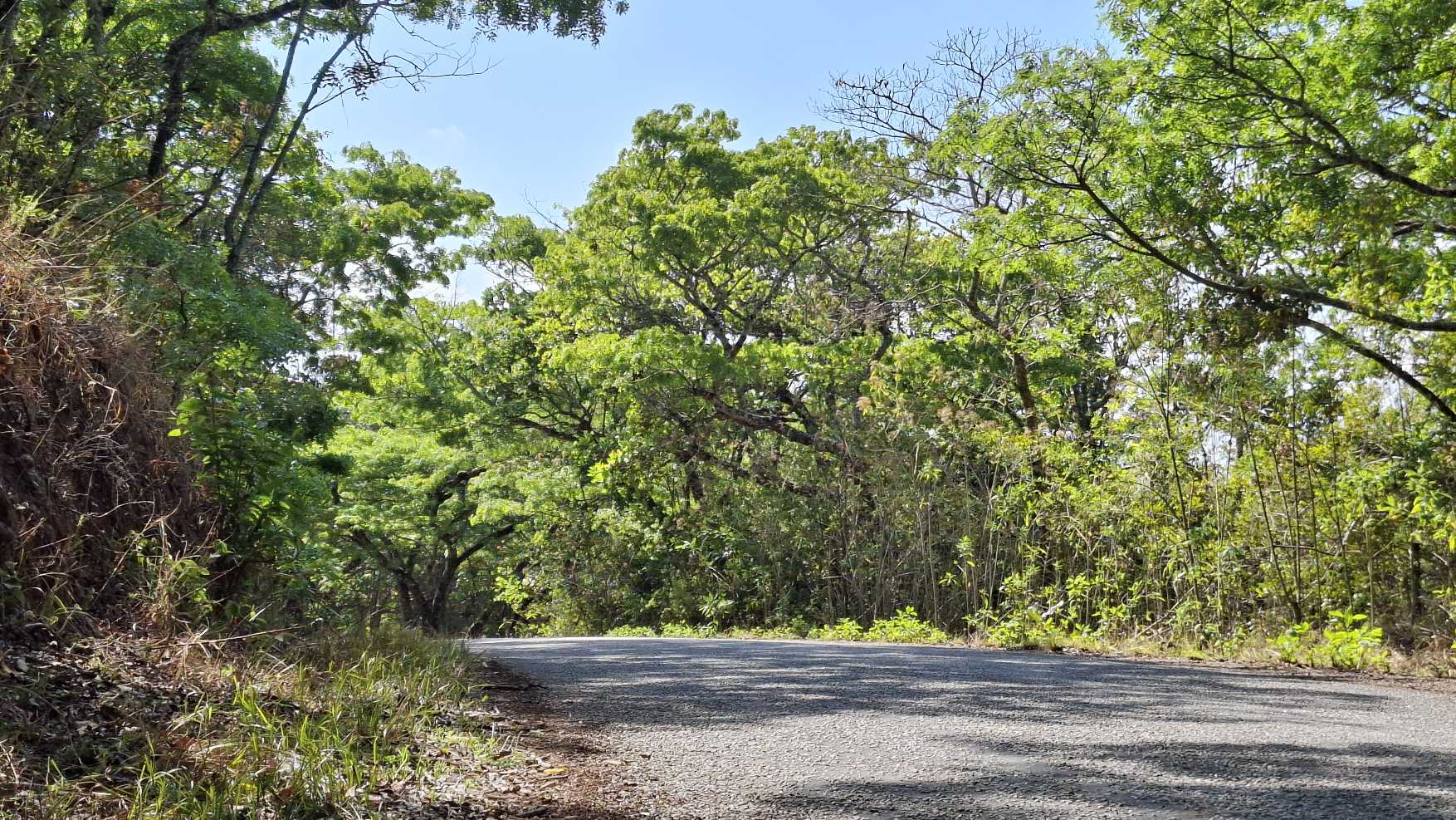 Image of 20251024_142619.jpg