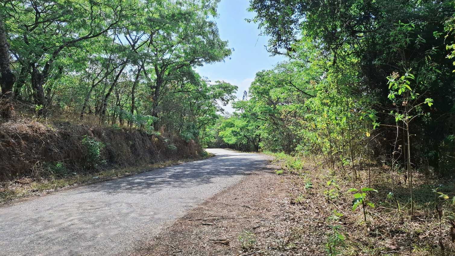 Image of 20251024_142733.jpg