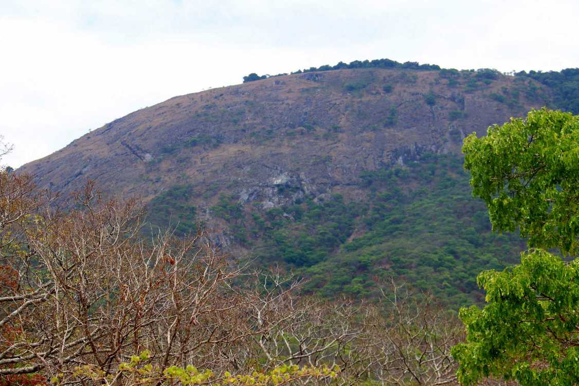 Image of IMG_1551.jpg