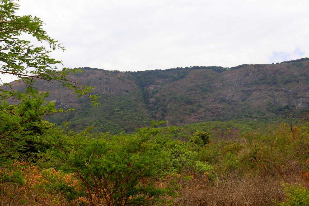 Image of IMG_1554.jpg