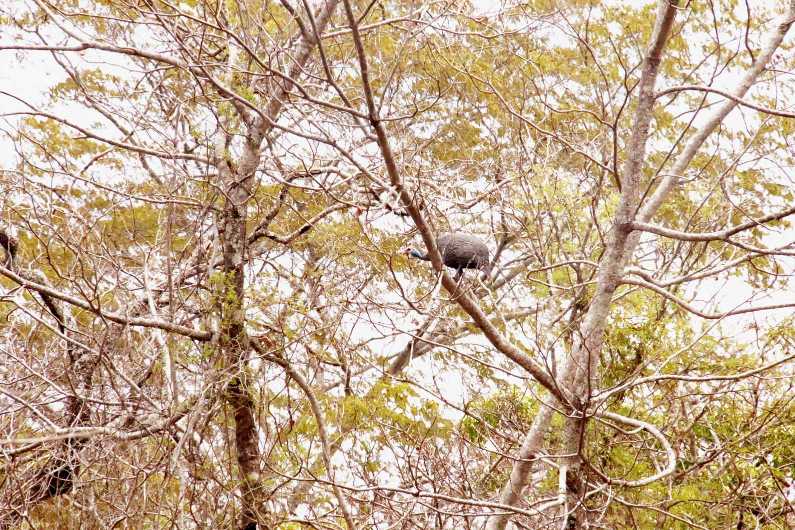 Image of IMG_1585.jpg