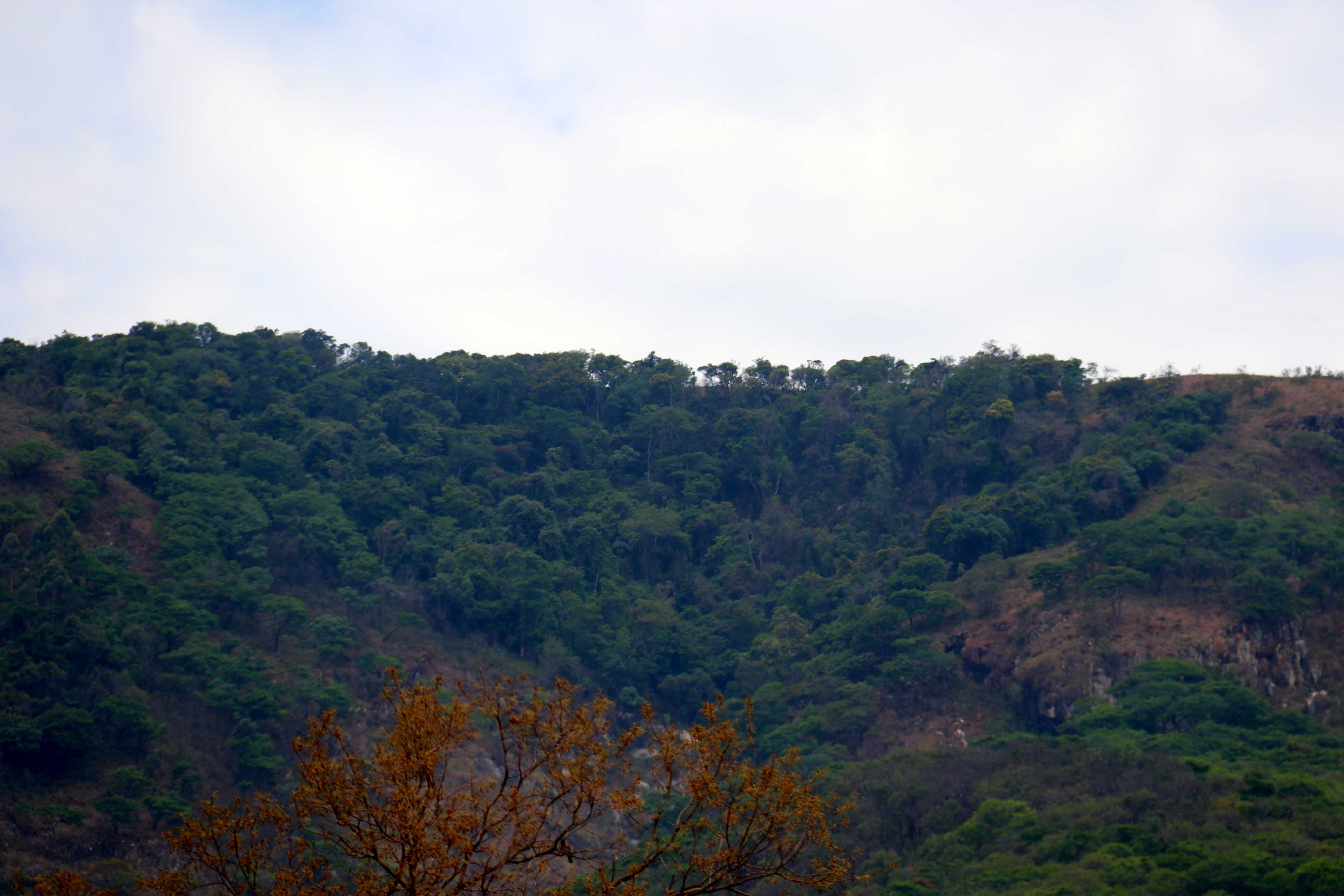 Image of IMG_1600.jpg