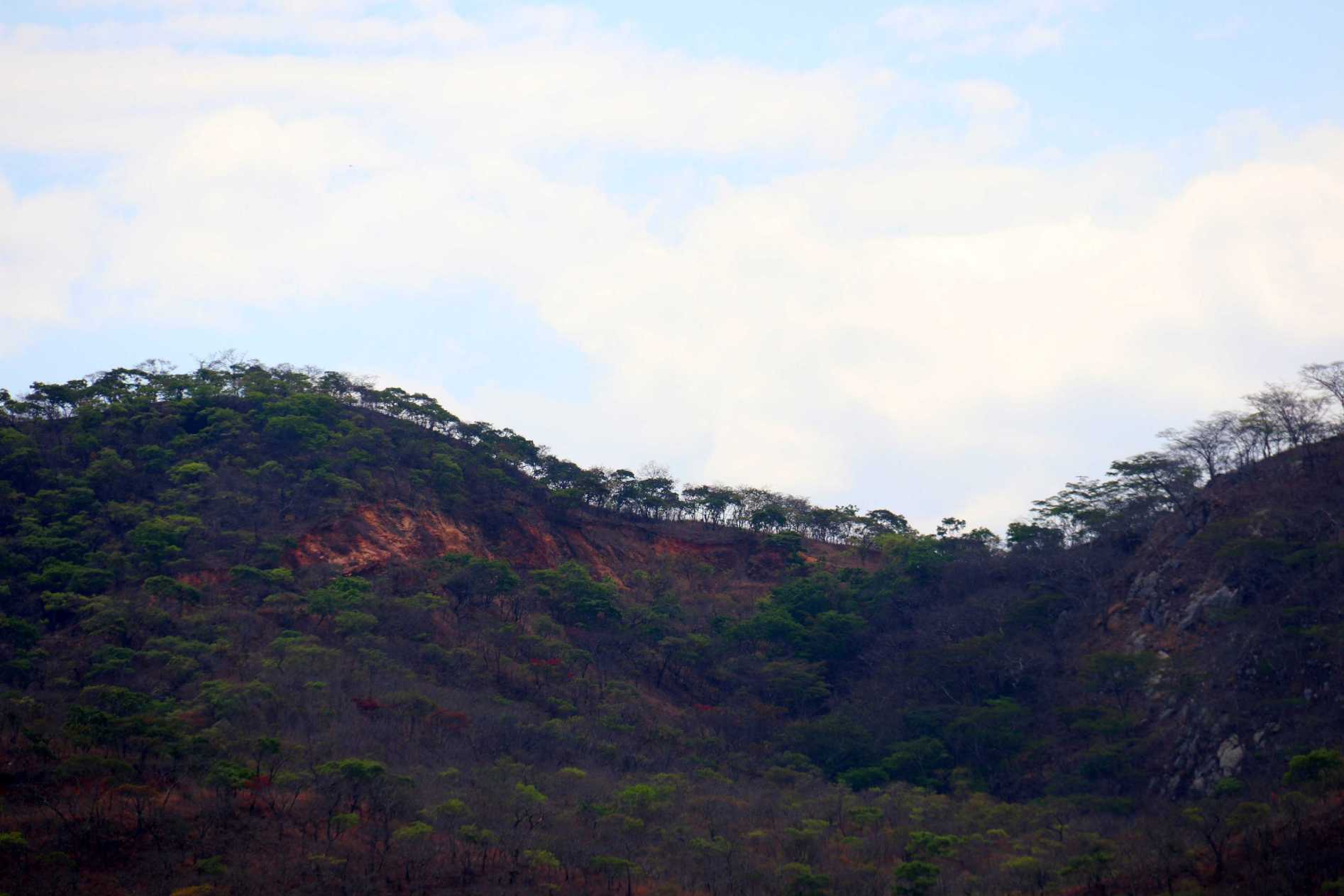 Image of IMG_1688.jpg