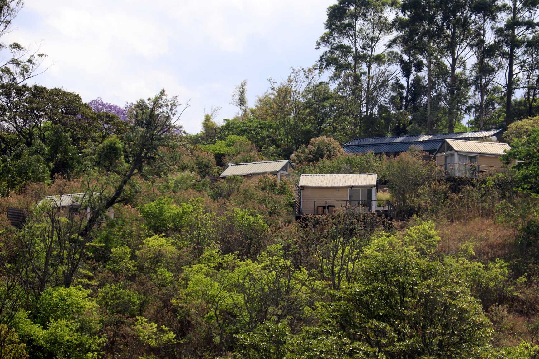 Image of IMG_1715.jpg