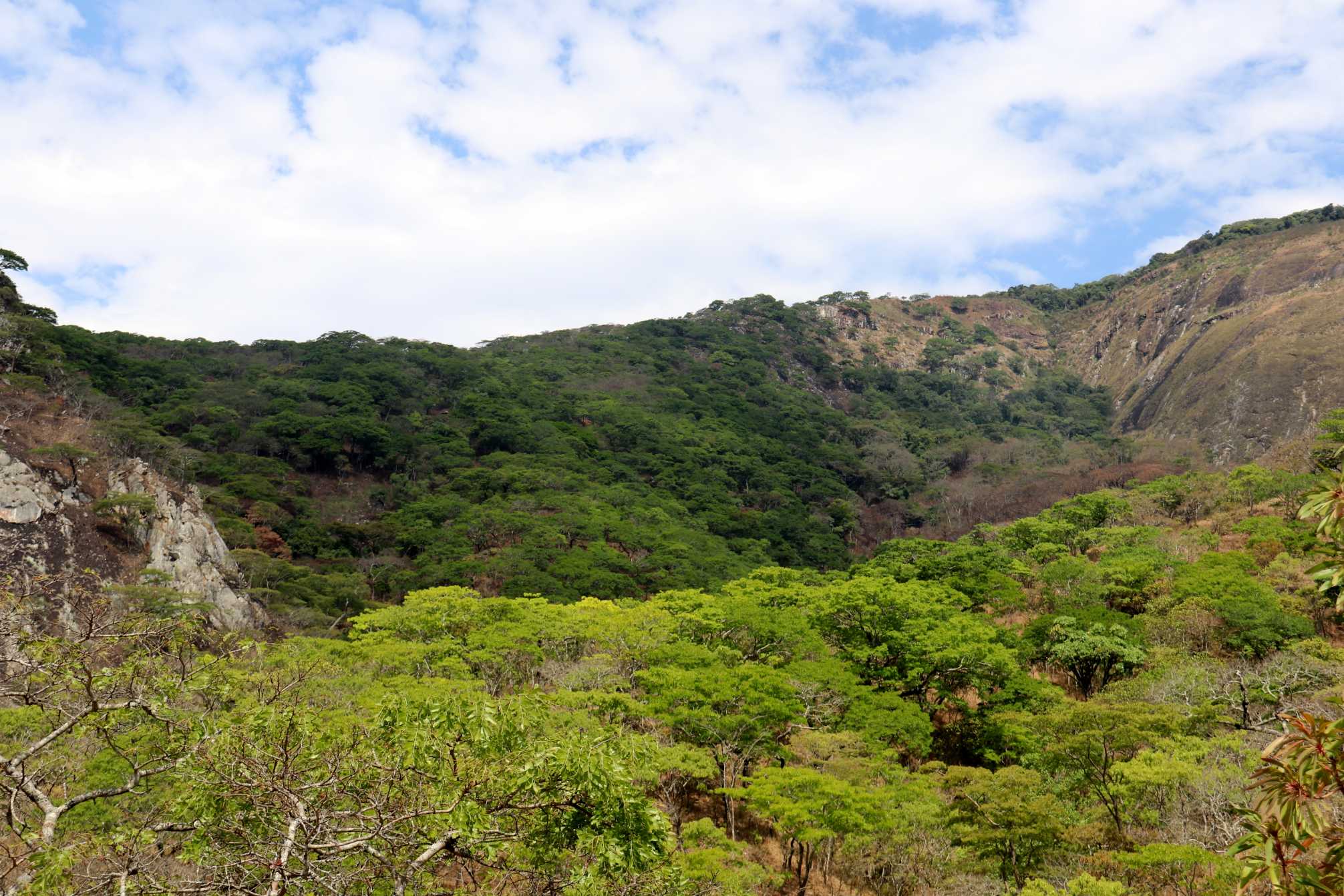 Image of IMG_1718.jpg