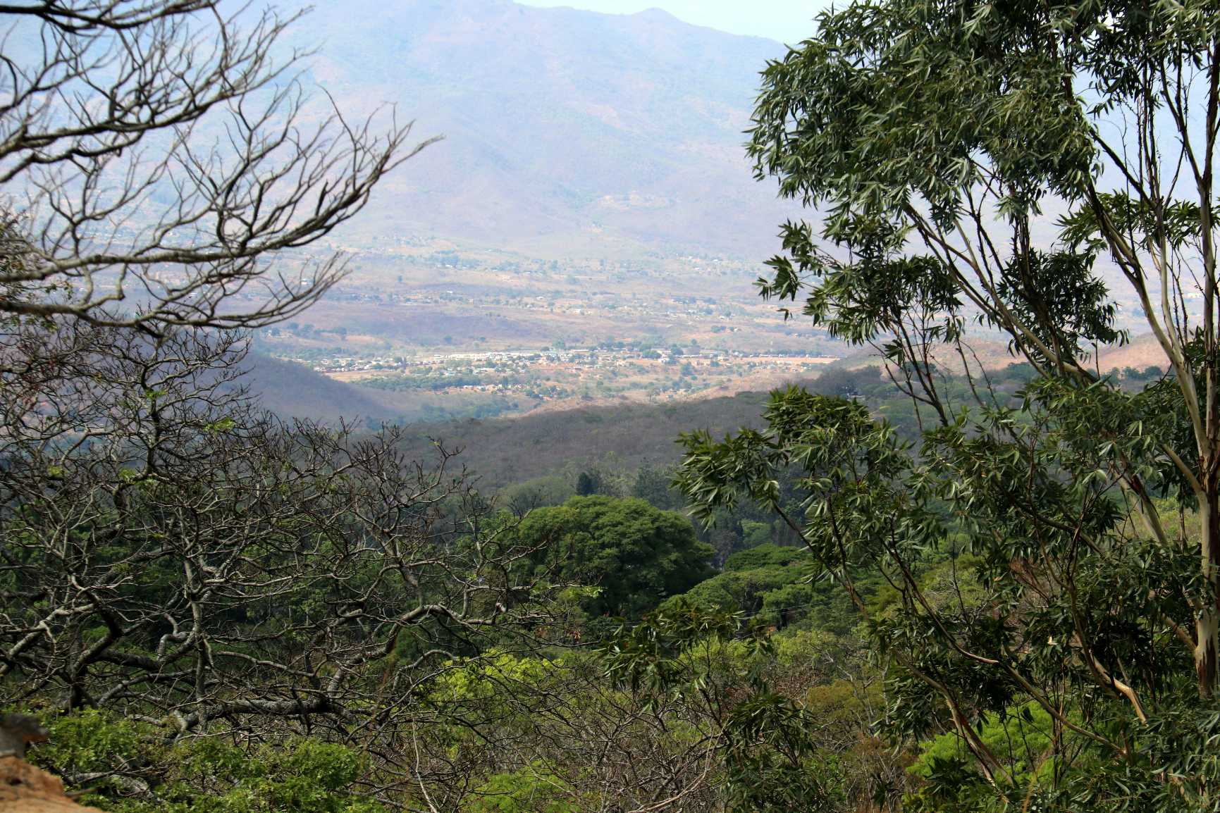 Image of IMG_1736.jpg