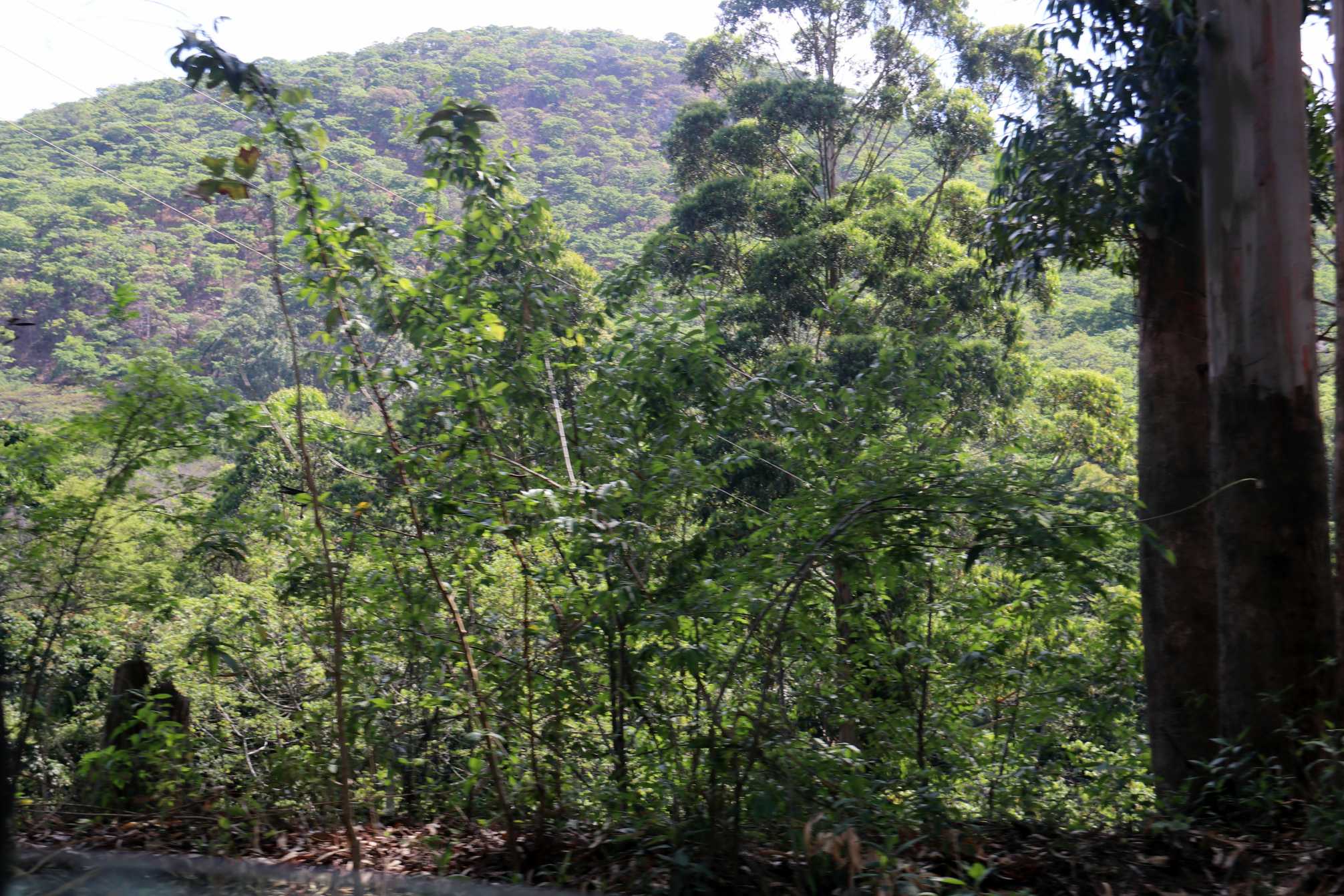 Image of IMG_1754.jpg