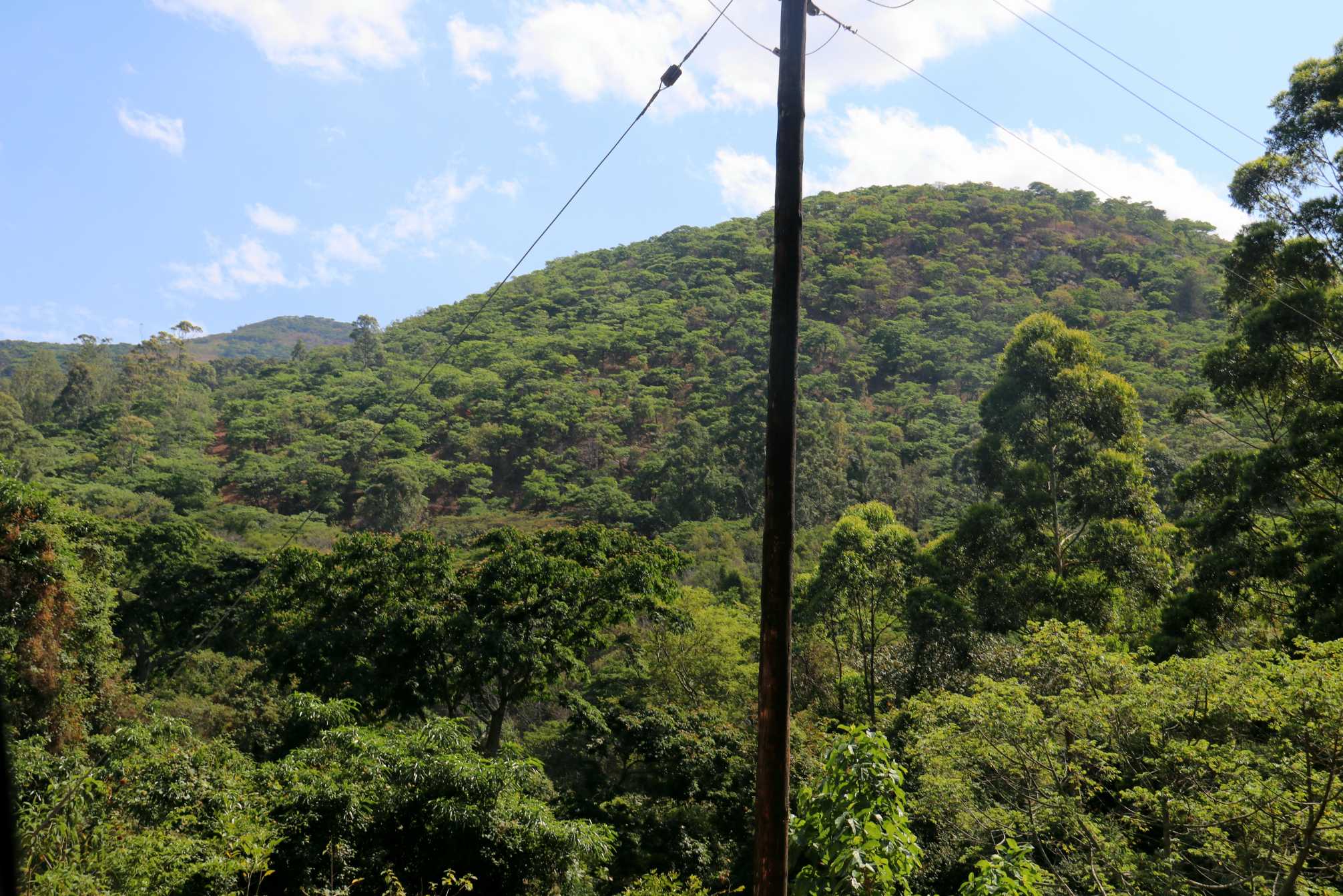 Image of IMG_1756.jpg