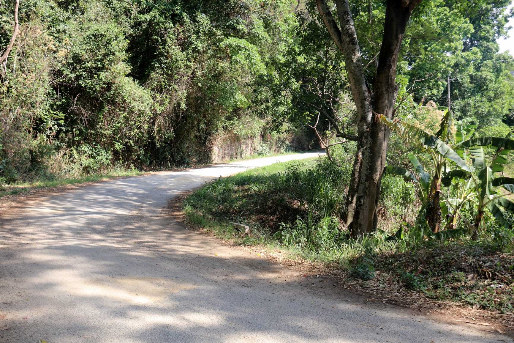 Image of IMG_1762.jpg