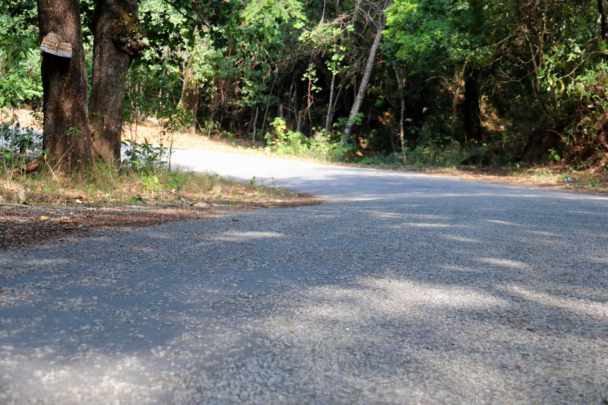 Image of IMG_1805.jpg