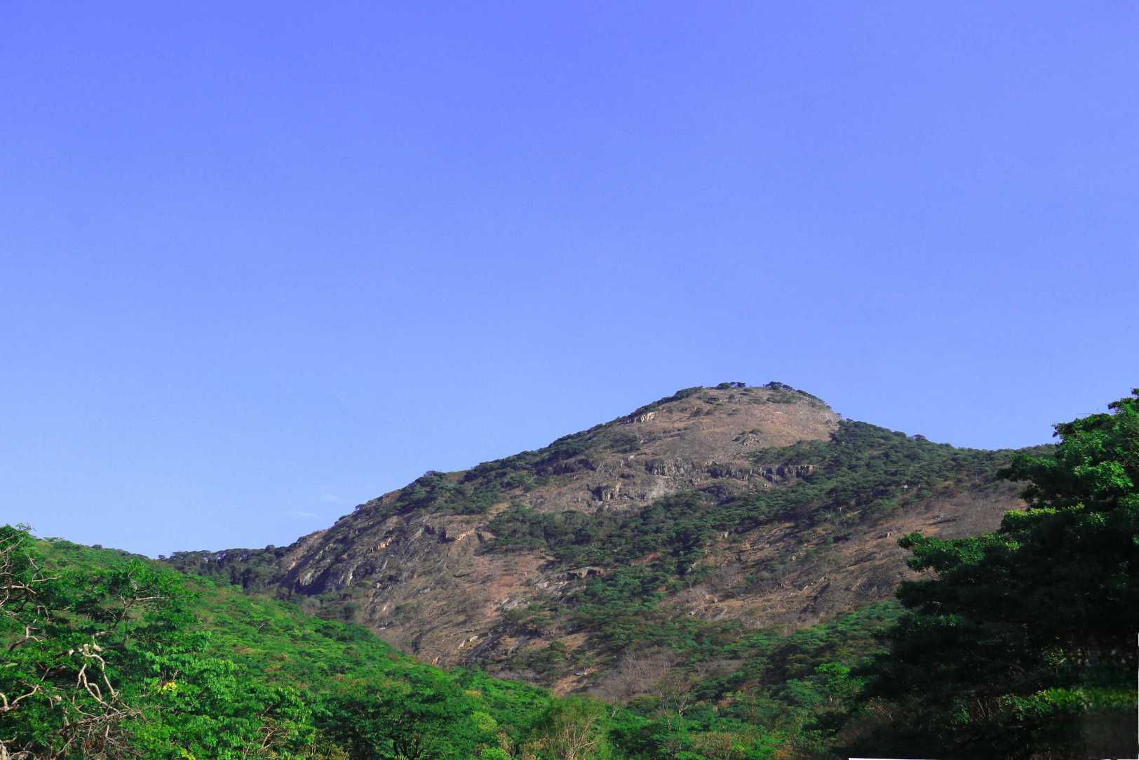 Image of IMG_1866.jpg