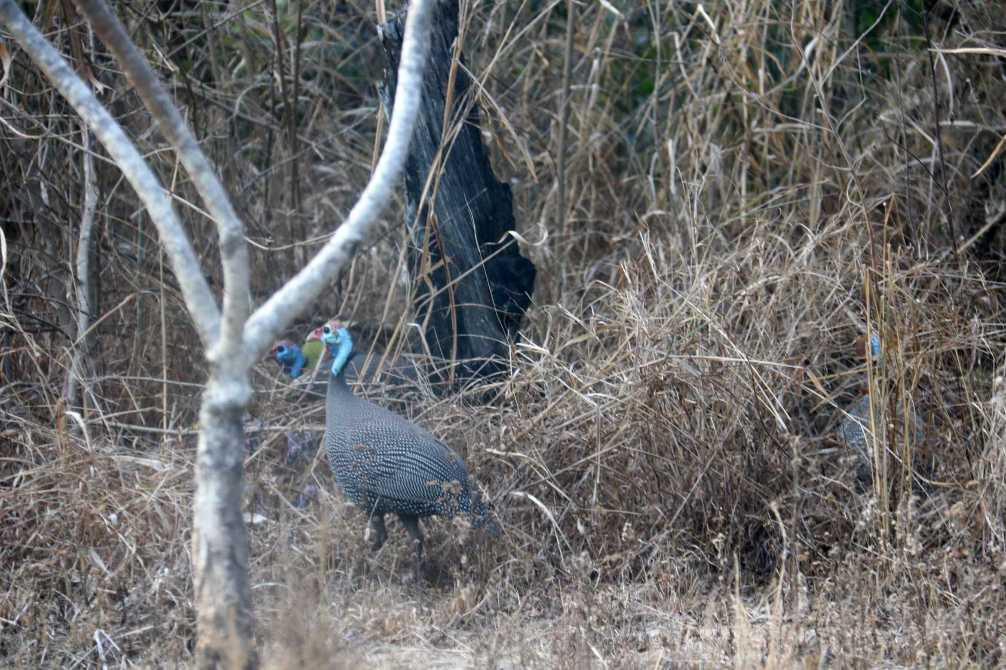 Image of IMG_1877.jpg