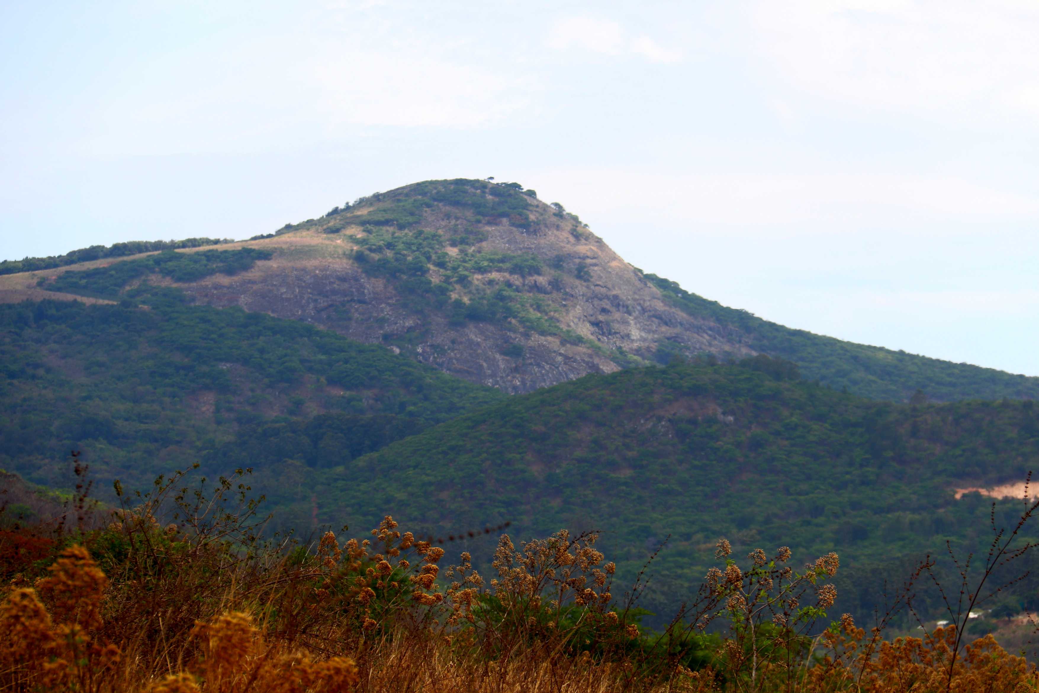 Image of img_6921bc33c896e0.00092089.jpg