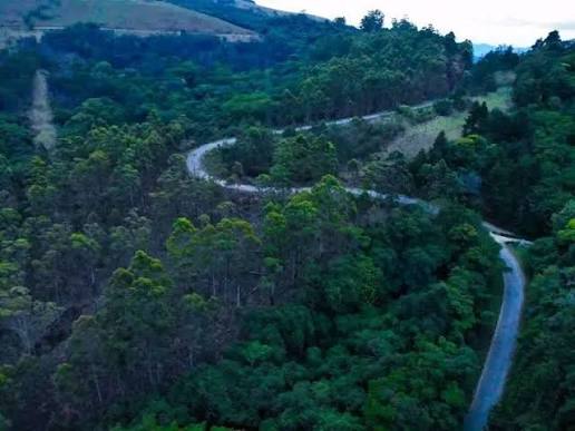 Image of img_692d452a07be16.28910367.jpeg