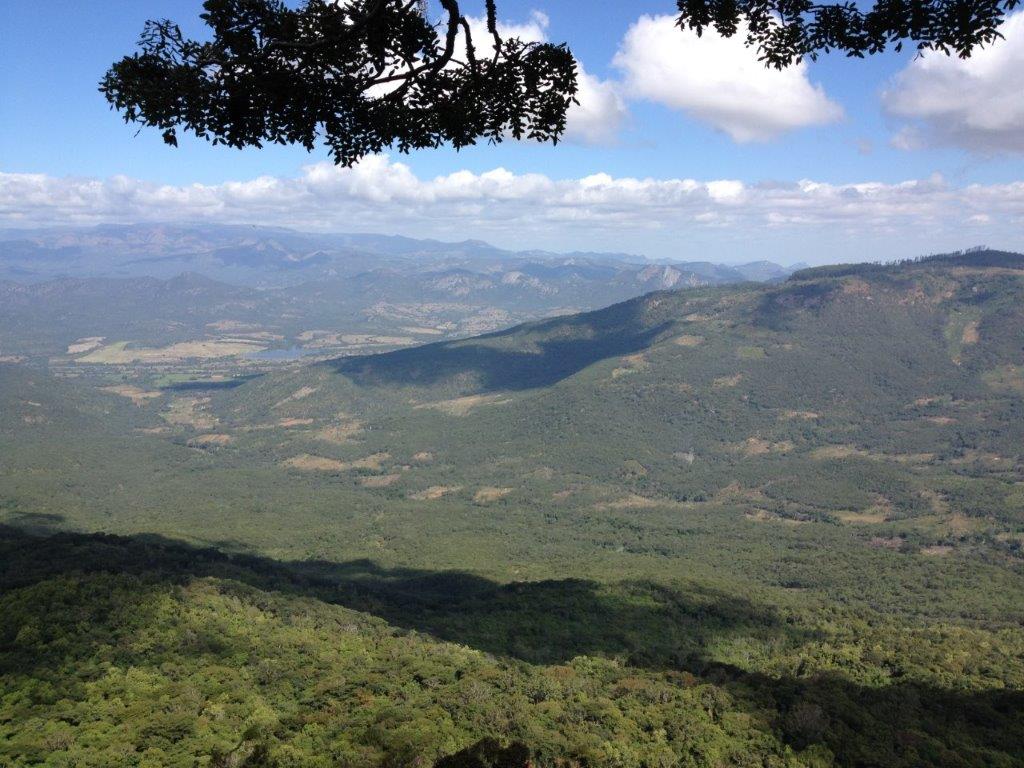 Image of img_692d7f2a125e11.79262996.jpg