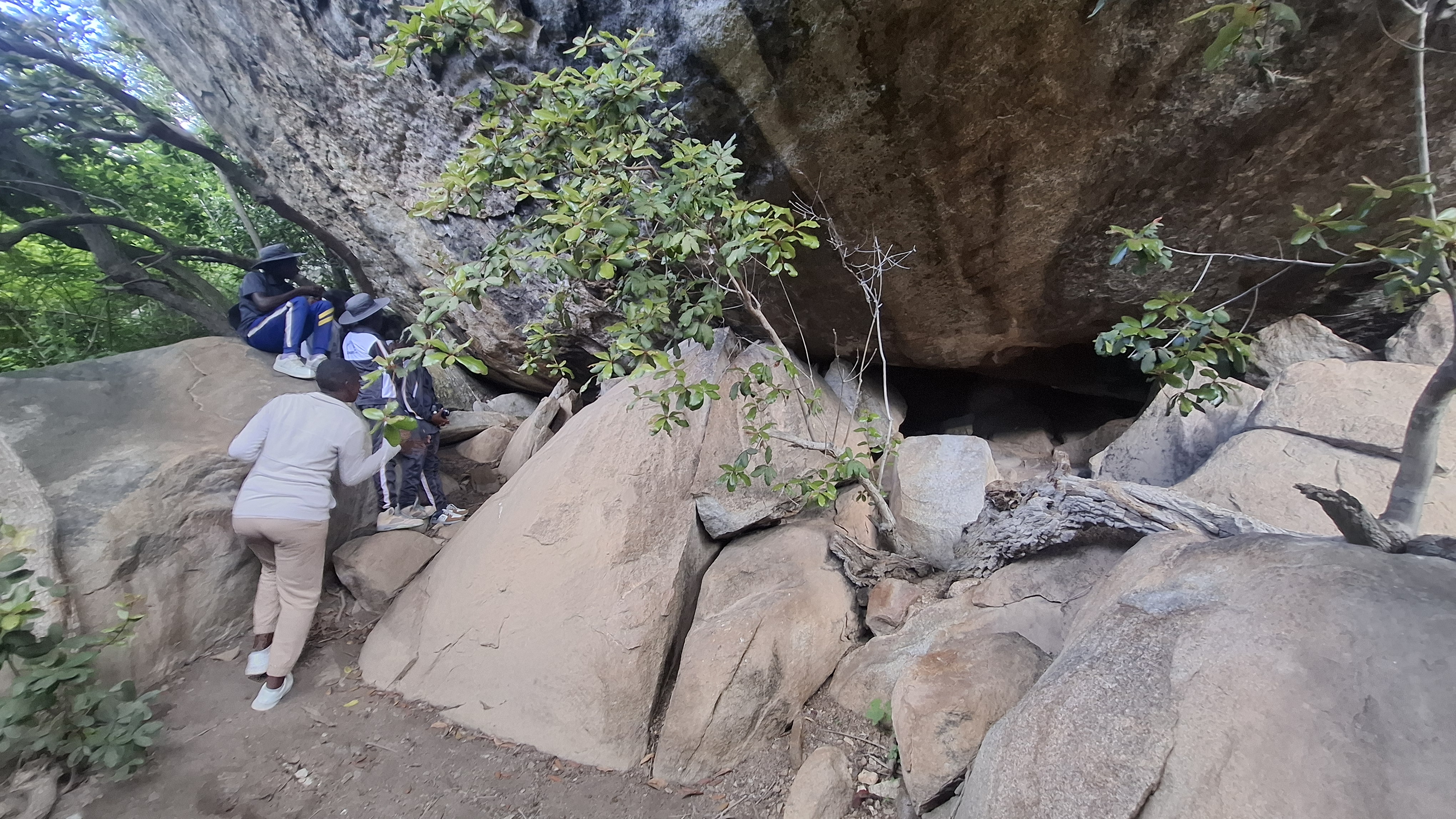 Image of img_69846c3f5dbd58.29966359.jpg