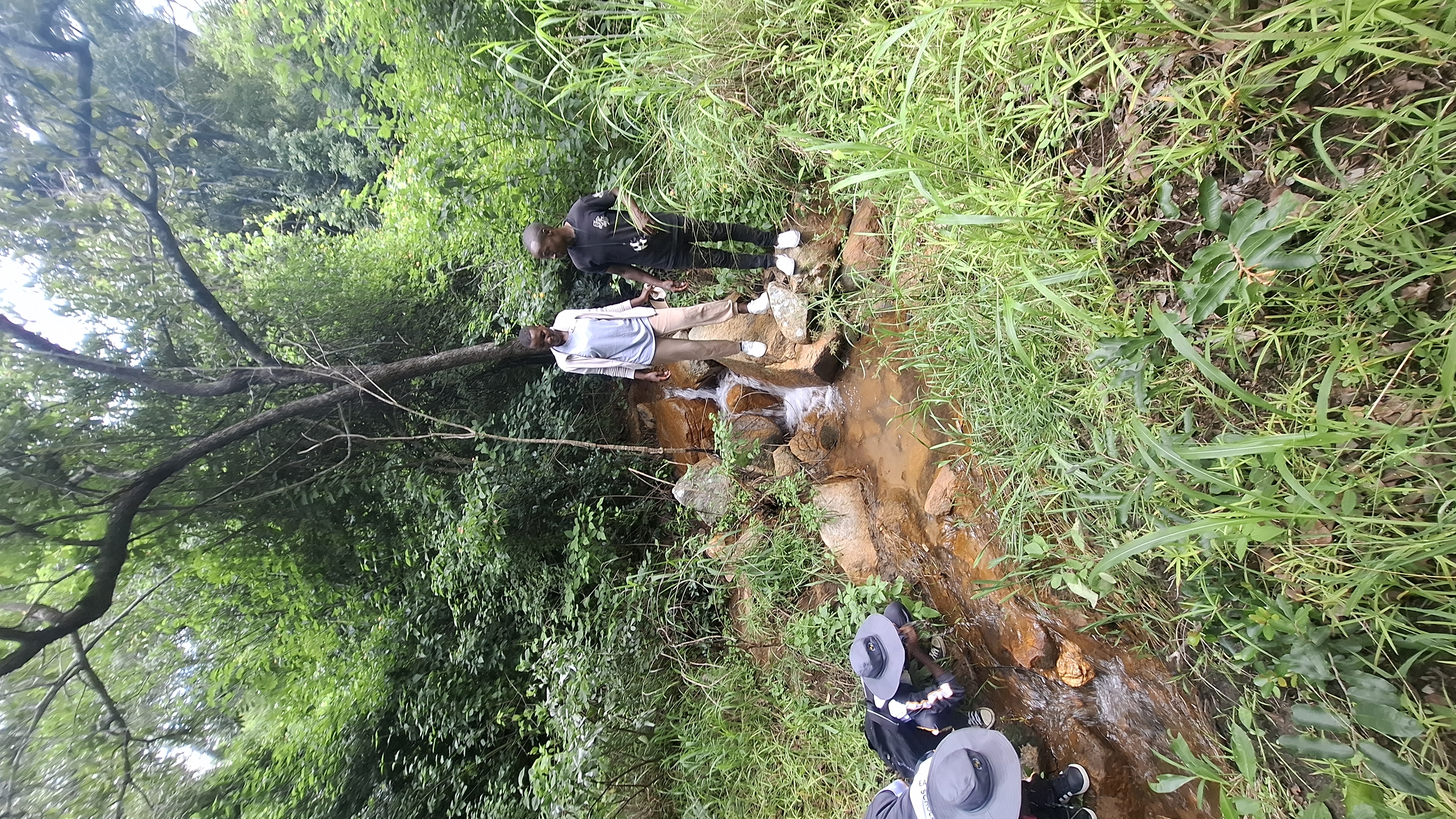 Image of img_69847162f33040.36788435.jpg