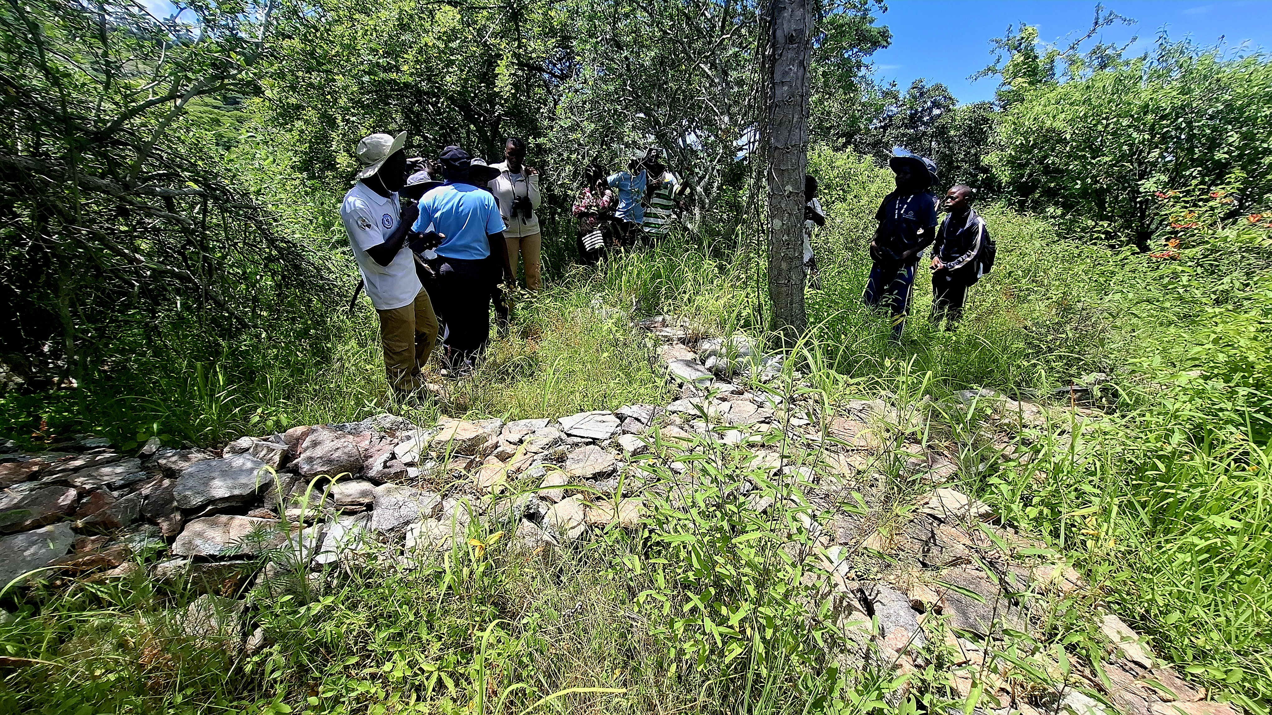 Image of img_69847a9b0e16e9.89602396.jpg