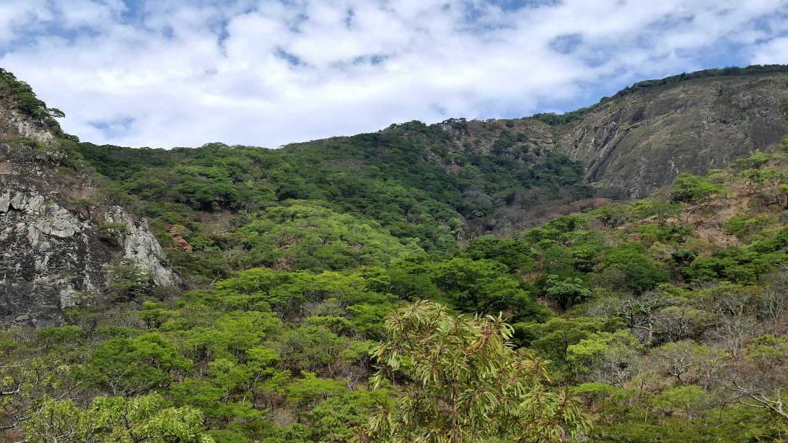 Image of mountain.jpg